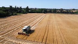 Gasolio alle stelle, paga anche l&rsquo;agricoltura: &laquo;Rincari del 30%&raquo;