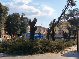 Alberi mercato, il cantiere accelera: obiettivo chiudere in giornata