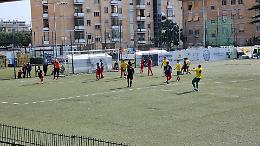 Abbuffata Qco, Dlf stop a Tuscania nella vendemmia