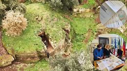 Banditaccia, scatta il piano di tutela a lungo termine per preservare il patrimonio Unesco