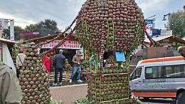 Sagra del carciofo senza caos? &laquo;Basta una navetta, lo fanno tutti&raquo;