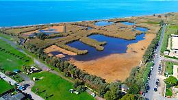 Un tesoro da proteggere: la Palude di Torre Flavia festeggia 29 anni