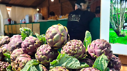 Festa s&igrave;, eccessi no: scattano i divieti alla Sagra del Carciofo
