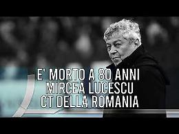 TG +24 edizione 8 Aprile 2026