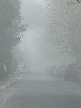 Il risveglio che non ti aspetti: citt&agrave; avvolta dalla nebbia