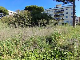 Zona Peep nel degrado, l&rsquo;atto d&rsquo;accusa di Diego Sileoni. &ldquo;L&rsquo;amministrazione Sposetti ignora il quartiere&rdquo;