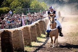 Verso il Palio dell'Anello: incontro su sicurezza e benessere animale