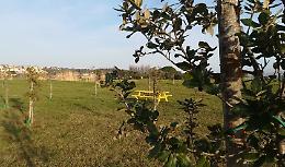 Tarquinia, studenti dell&rsquo;Ic &ldquo;Ettore Sacconi&rdquo; a lezione di cittadinanza attiva, legalit&agrave; e rispetto