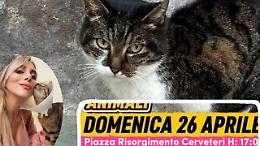 &laquo;Basta crudelt&agrave;&raquo;: manifestazione a Cerveteri dopo la morte di Signorina