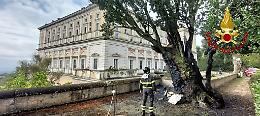 Maltempo nella Tuscia: fulmine cade su albero monumentale di Palazzo Farnese