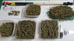 Trovato con oltre un chilo di marijuana, arrestato 49enne
