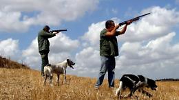 &laquo;Cos&igrave; si azzerano le associazioni venatorie&raquo;