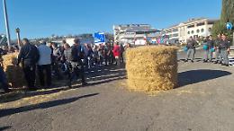 Agricoltori preparano la marcia su Roma