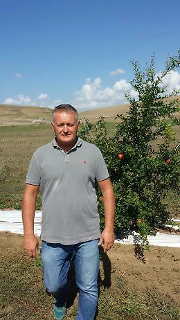 Mor&igrave; in uno scontro, il giudice assolve l&rsquo;automobilista: &laquo;L&rsquo;incrocio era pericoloso&raquo;