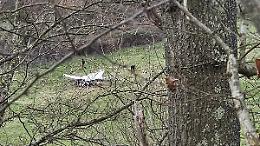 Ultraleggero precipitato a Vejano: sopralluogo dei carabinieri