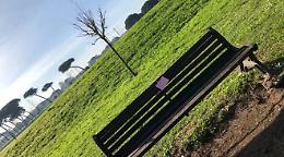 La citt&agrave; tempestata di messaggi per la giornata internazionale della donna