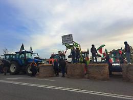 Agricoltori: pronta a costituirsi la consulta