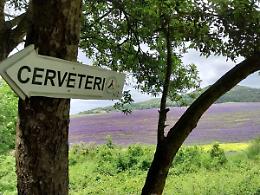 Per Pasqua si va verso il sold out