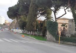 &laquo;Non ci sar&agrave; alcun taglio degli alberi&raquo;