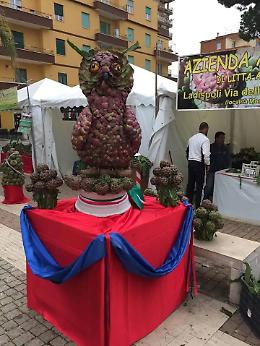 Apre i battenti &ldquo;Aspettando la Sagra&rdquo;