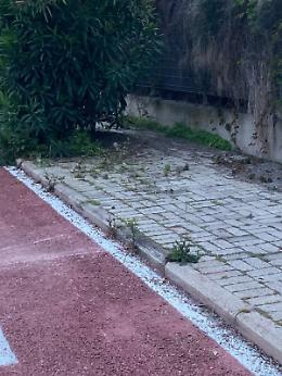 Marciapiedi invasi dall&rsquo;erba alta e rifiuti abbandonati: &egrave; polemica
