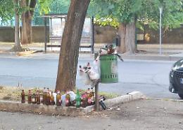 &laquo;Viale Trento, soffocati dal degrado&raquo;