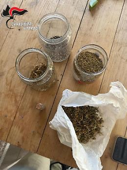 Soriano nel Cimino: cercano un cane aggressivo e trovano marijuana