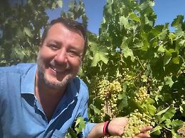 Matteo Salvini: &laquo;Buona domenica dalle vigne di Cerveteri&raquo;