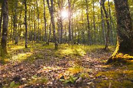 Aperte le iscrizioni per il laboratorio teatrale &ldquo;Della Fiaba&rdquo;