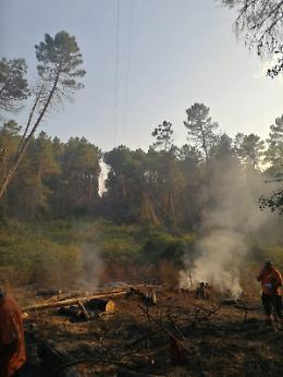 Acquapendente: incendio nel parco di Monte Rufeno