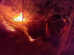Incendio nelle campagne dell&rsquo;Ancarano, in fiamme canneti e sterpaglie