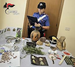 Faleria: coltiva marijuana nell&rsquo;armadio, 50enne nei guai