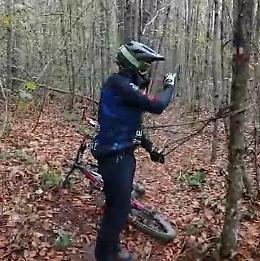 Scoperta una &ldquo;trappola&rdquo; nella Faggeta