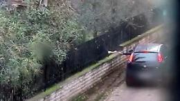 Spaccio di droga: condannata una coppia di coniugi di Vitorchiano