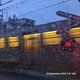Crolla albero sui binari della Roma Nord