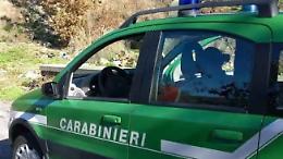 Incendi boschivi: identificati 70 piromani nella Tuscia