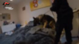 Maxi operazione antidroga, eseguite 59 perquisizioni tra Viterbo, provincia e Civitavecchia