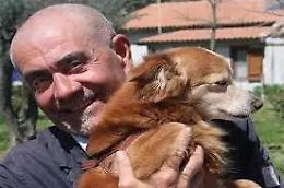 Viterbo: i volontari Enpa salvano un cagnolino su un balcone senza riparo