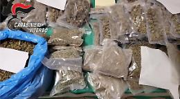 Nascondono in casa 10 chili di marijuana, arrestati due insospettabili