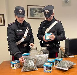 Spaccio di droga ad Acilia: un arresto