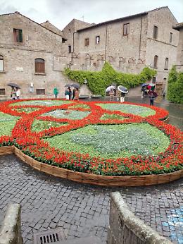 Viterbo, al lavoro per San Pellegrino in fiore 2025