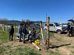 Lavoro nero nel noccioleto, due imprenditori viterbesi nei guai