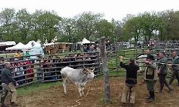 La radio tra passato e futuro: anche i radioamatori alla Festa della Merca 2026