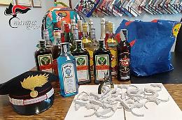 Bloccata banda di ladri di alcolici: colti sul fatto tre georgiani