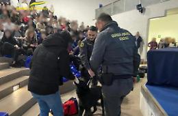 Viterbo: trovato hashish a scuola, 4 studenti segnalati alla Prefettura