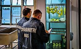 Fast food, ristoranti etnici, bar e b&b: chiusure e multe per 37mila euro