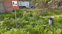 &laquo;Prato giardino in un degrado mai visto&raquo;