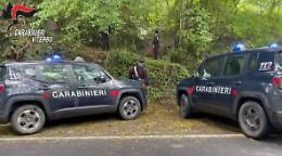 Omicidio nel bosco: identificata la vittima