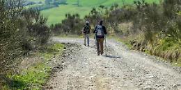 Via Francigena candidata a patrimonio Unesco