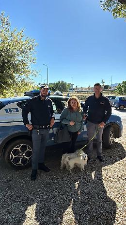 La polizia di Viterbo due cani che vagavano sul raccordino